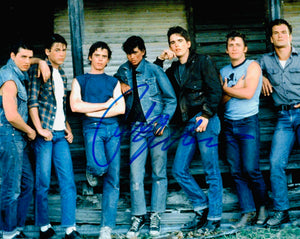 Ralph Macchio the Outsiders Autographed 8x10