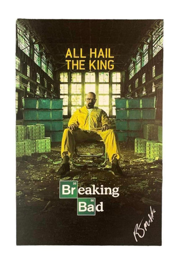R.J. Mitte Breaking Bad Autographed Poster