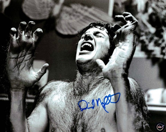 David Naughton An American Werewolf in London Autographed 8x10 photo