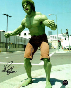 Lou Ferrigno as the Incredible Hulk 8x10